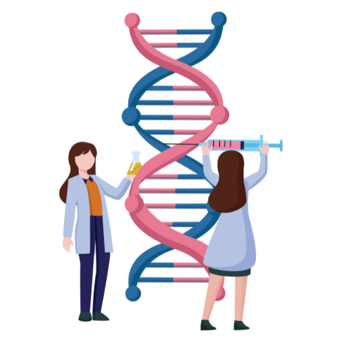 Two women in a laboratory examining a large DNA double helix model.